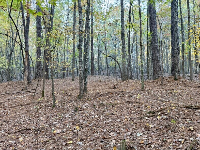 Airport Rd, Wadesboro, NC à vendre - Photo principale – Image 2 sur 3