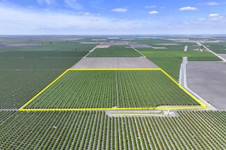 Plus de détails pour 7802 S James Rd, San Joaquin, CA - Terrain à vendre