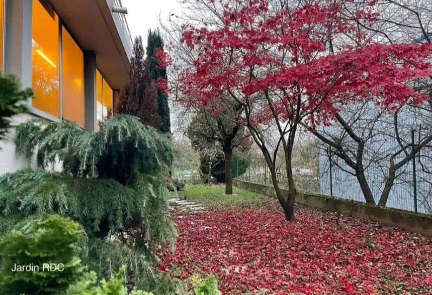 Local d'activités dans Annemasse à vendre - Photo de l’immeuble – Image 2 sur 12