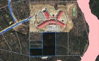 Plus de détails pour OLIVE FARM ROAD rd, Sanford, NC - Terrain à vendre