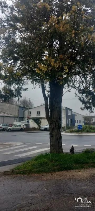 Plus de détails pour Local commercial à louer