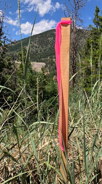 3 Miners Rd, Black Hawk, CO à vendre - Photo de l’immeuble – Image 2 sur 3