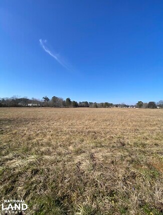 Plus de détails pour Highway 160, Cleveland, AL - Terrain à vendre