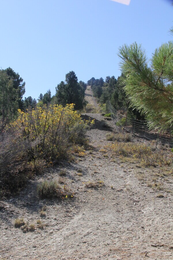 View Photo