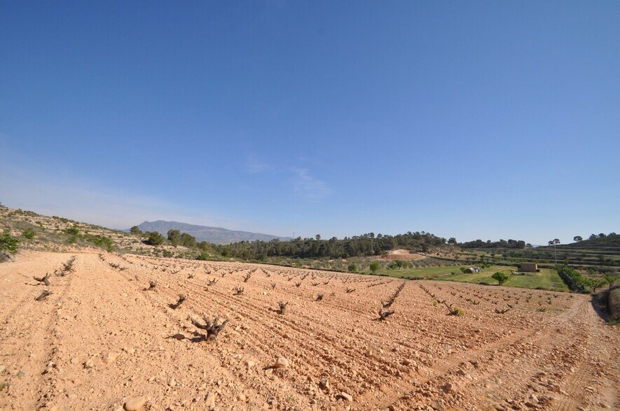 Terrain dans Jumilla, Murcia à vendre - Aérien – Image 2 sur 16