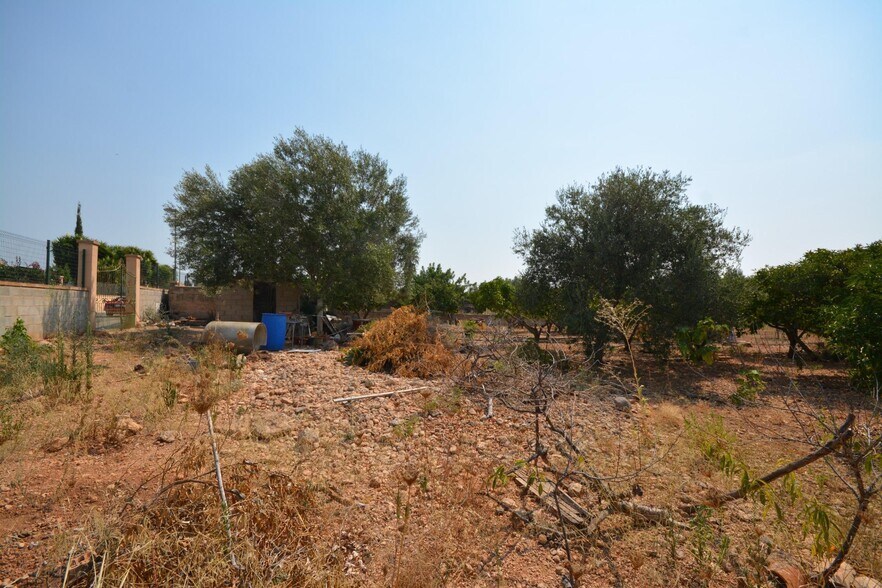 Terrain dans Marratxí, Islas Baleares à vendre - Photo de l’immeuble – Image 1 sur 18