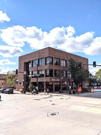 Plus de détails pour 5100 Main St, Downers Grove, IL - Bureau, Bureau/Médical à louer