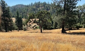 Plus de détails pour 00000 Forrest Road 1N19, Tuolumne, CA - Terrain à vendre