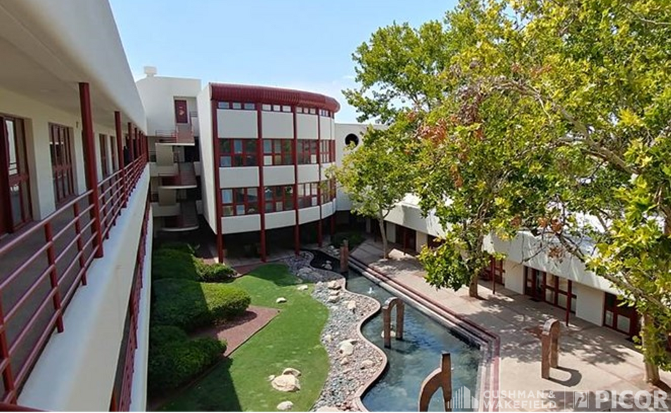 310 S Williams Blvd, Tucson, AZ à louer - Photo de l’immeuble – Image 2 sur 3