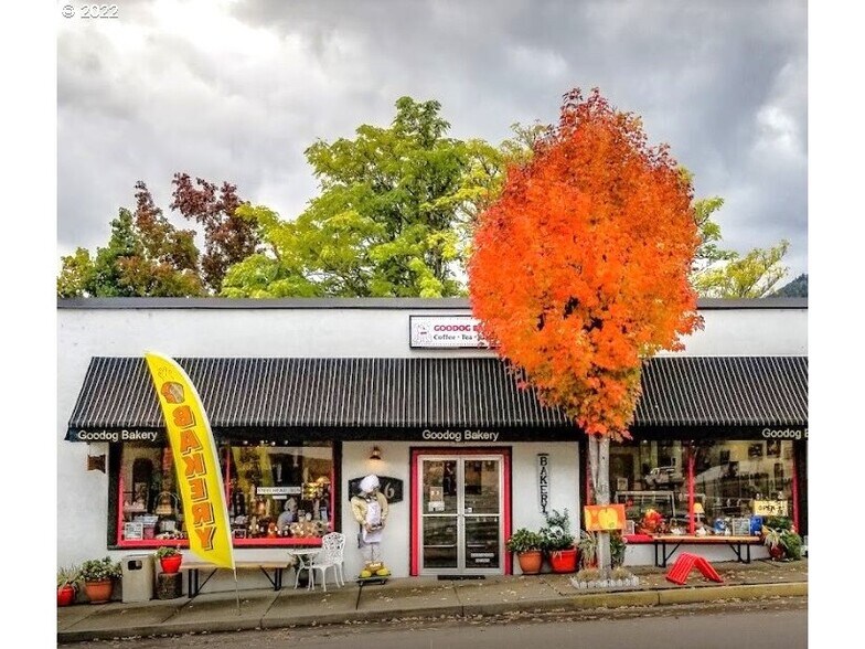 236 N Main St, Myrtle Creek, OR à vendre - Photo principale – Image 1 sur 22