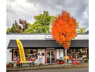 Plus de détails pour 236 N Main St, Myrtle Creek, OR - Local commercial à vendre