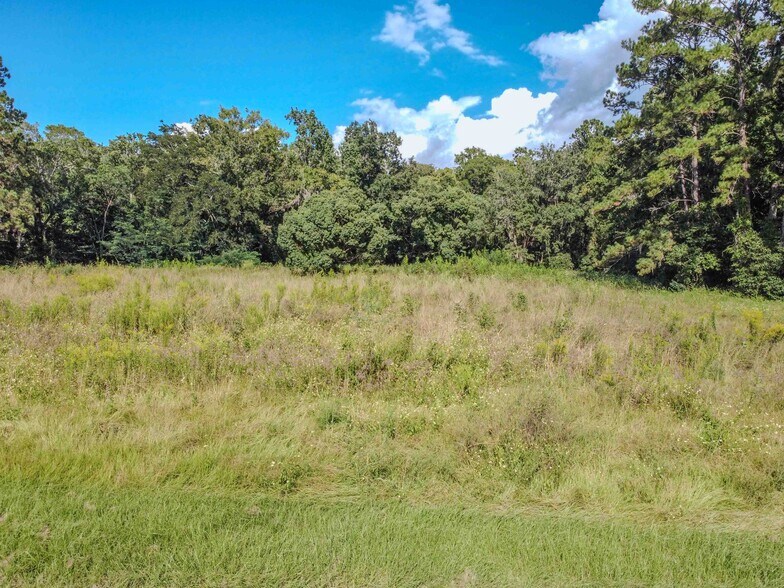 3305 Highway 17, Green Cove Springs, FL à vendre - Aérien – Image 3 sur 7