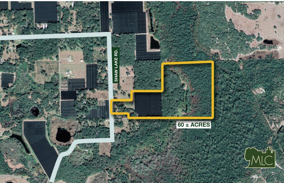 701-735 Shaw Lake Road, Pierson, FL à vendre - Photo principale – Image 1 sur 4