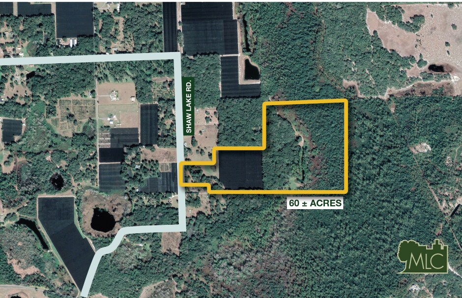 701-735 Shaw Lake Road, Pierson, FL à vendre Photo principale– Image 1 sur 5