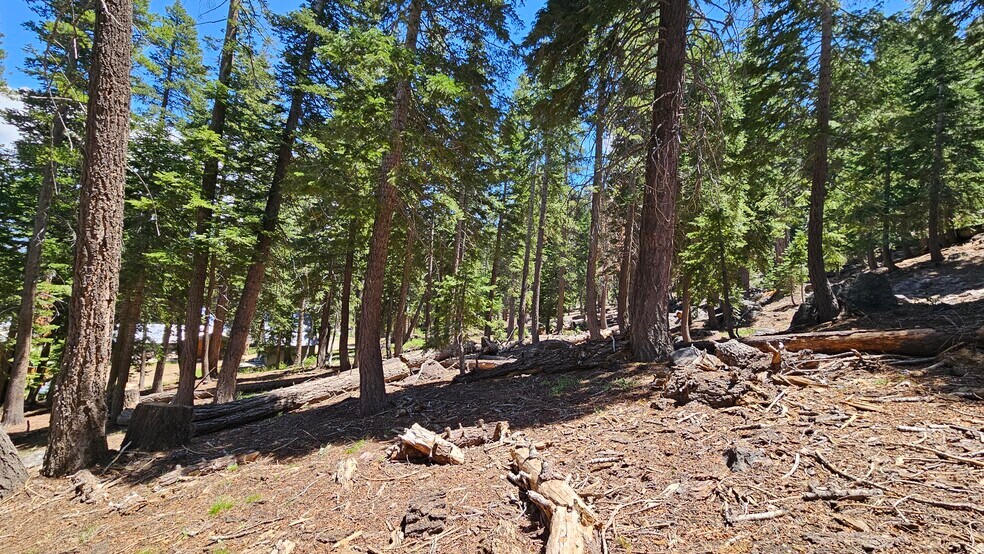 83-241 Lost Lane, Mammoth Lakes, CA à vendre - Autre – Image 2 sur 15