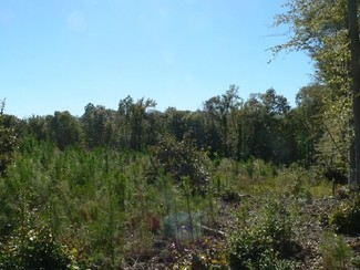 Plus de détails pour 16215 Eltham Rd, Lanexa, VA - Terrain à vendre