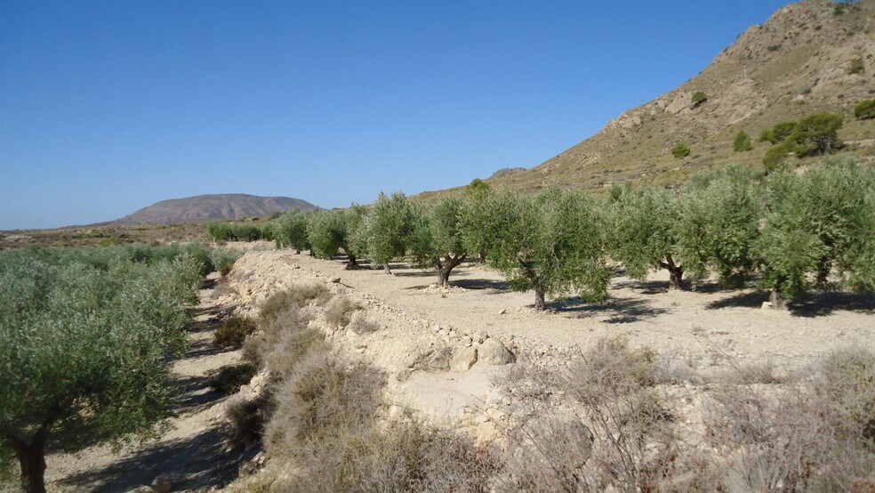 Terrain dans Abanilla, Murcia à vendre - Photo principale – Image 2 sur 18