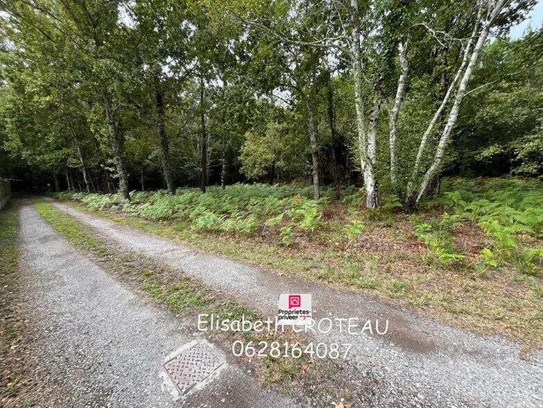 Terrain dans Sanguinet à vendre - Photo de l’immeuble – Image 2 sur 4