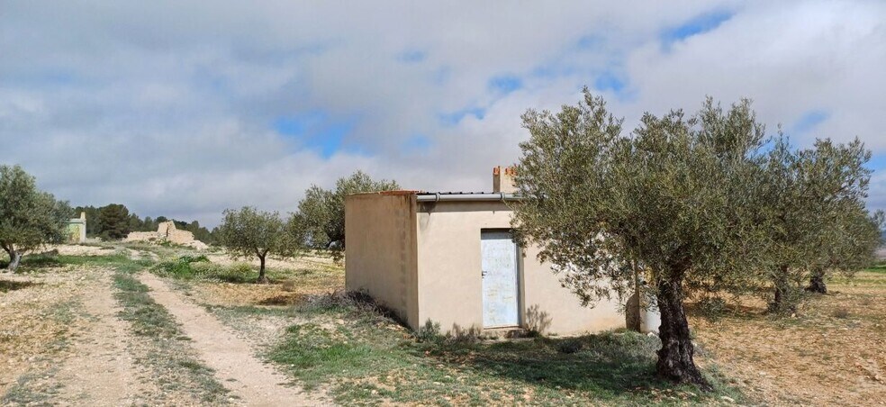 Terrain dans Yecla, Murcia à vendre - Photo principale – Image 3 sur 7
