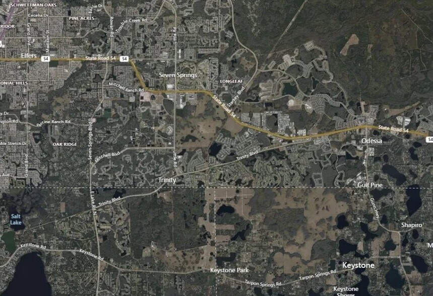 2939 Defuniak St, New Port Richey, FL à vendre - Photo de l’immeuble – Image 2 sur 4