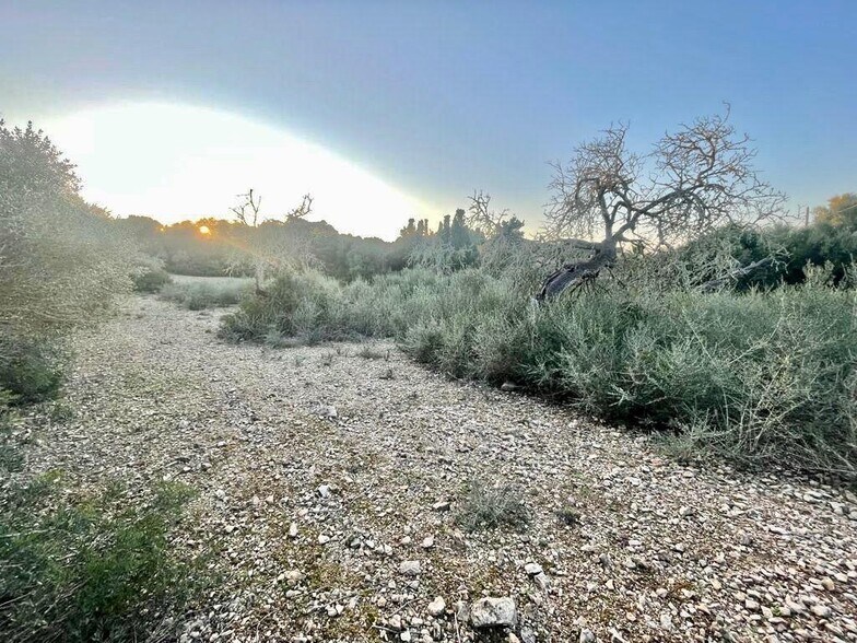 Terrain dans Manacor, Islas Baleares à vendre - Plan de site – Image 3 sur 5