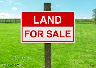 Plus de détails pour Pennsylvania 390 and 191, Cresco, PA - Terrain à vendre