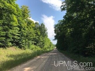 Plus de détails pour TBD Rock River Rd, Deerton, MI - Terrain à vendre