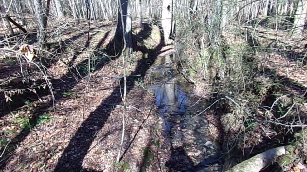41 ACRES Hwy 55 Hwy, Clover, SC à vendre - Vidéo sur l’annonce professionnelle – Image 3 sur 11
