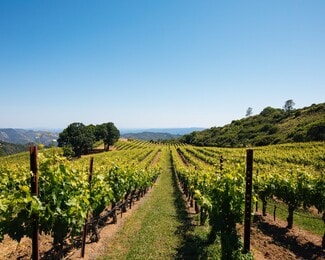 Plus de détails pour 14335 Sonoma Highway 12, Glen Ellen, CA - Spécialisé à vendre