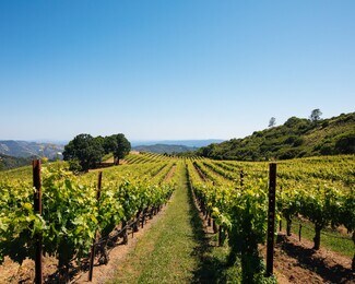 Plus de détails pour 14335 Sonoma Highway 12, Glen Ellen, CA - Spécialisé à vendre