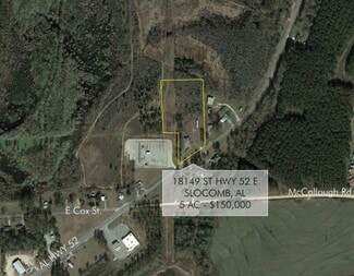 Plus de détails pour 18149 E State Highway 52, Slocomb, AL - Terrain à vendre