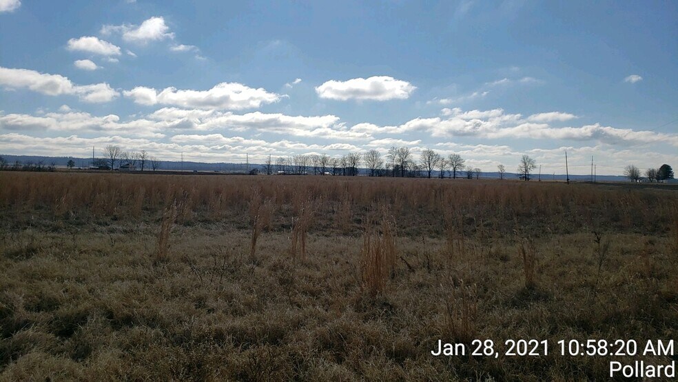 74 County Road 325, Pollard, AR à vendre - Photo principale – Image 1 sur 9