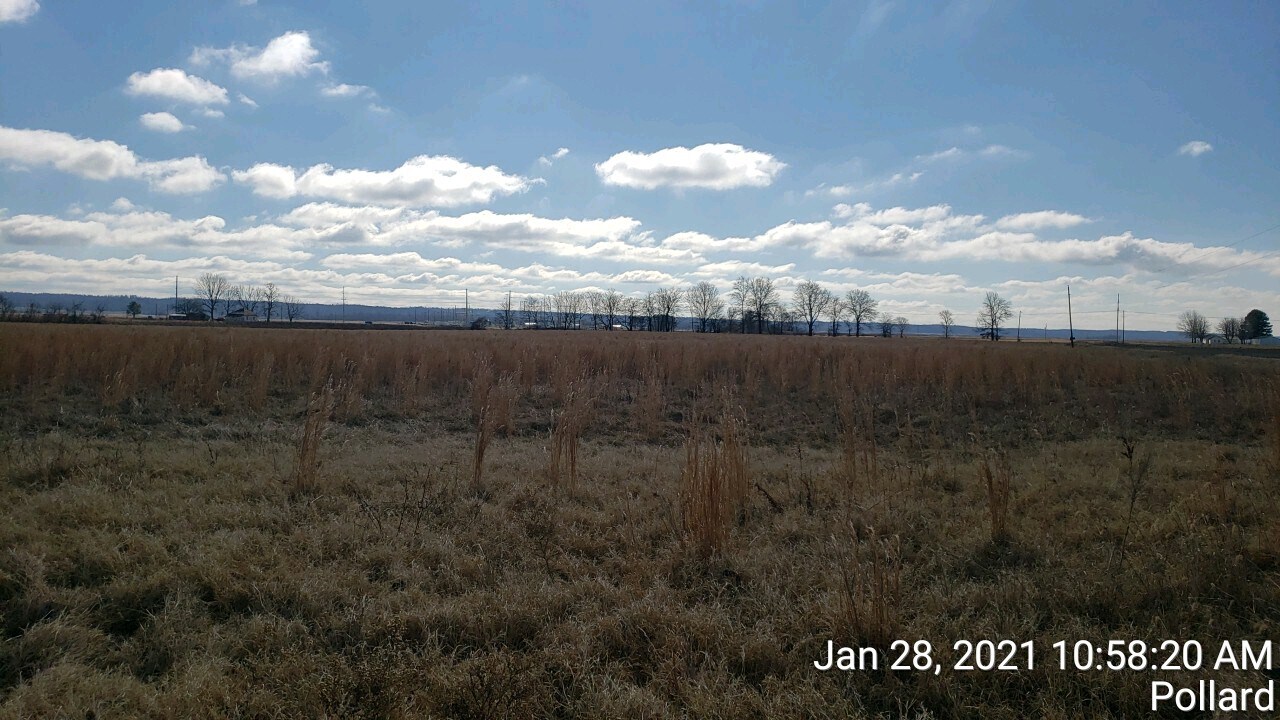 74 County Road 325, Pollard, AR à vendre Photo principale– Image 1 sur 10
