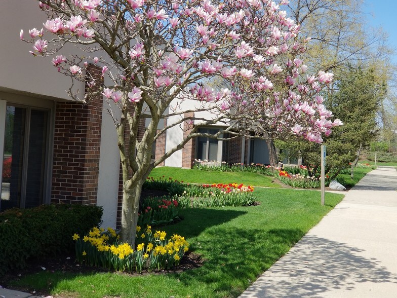 1117 S Milwaukee Ave, Libertyville, IL à vendre - Photo de l’immeuble – Image 3 sur 3