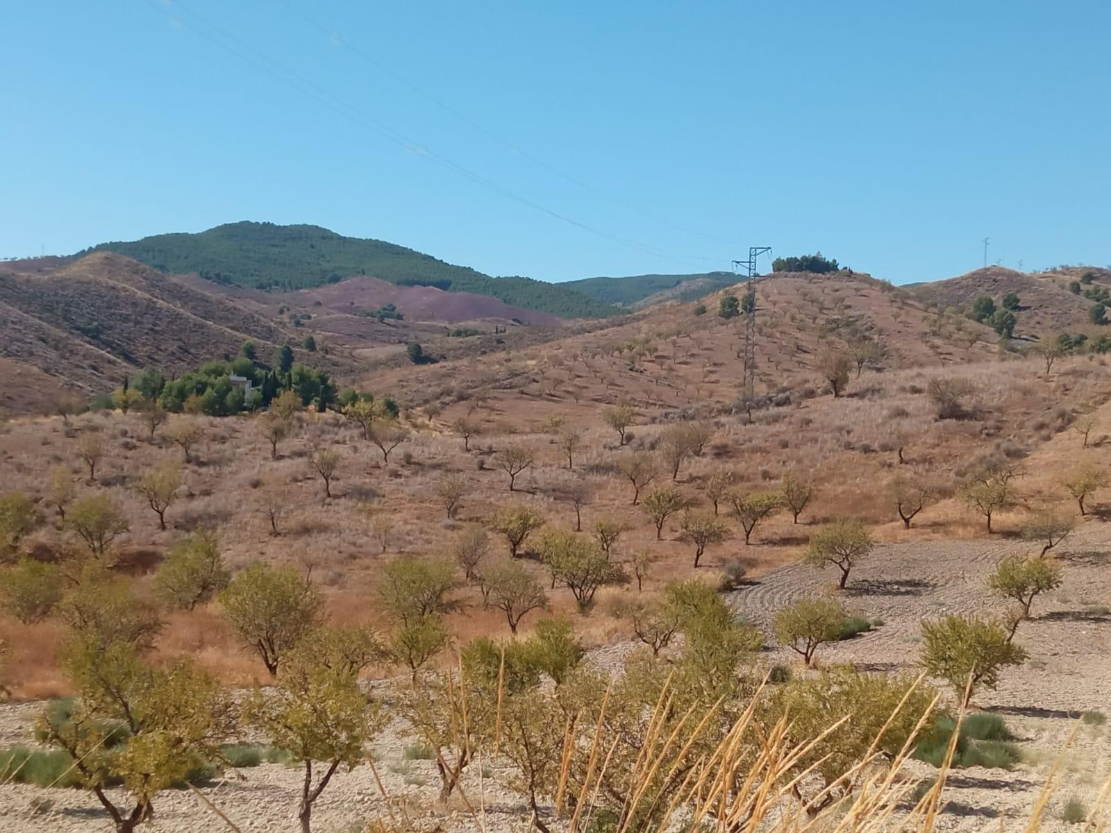 Terrain dans Lorca, Murcia à vendre Photo de l’immeuble– Image 1 sur 42