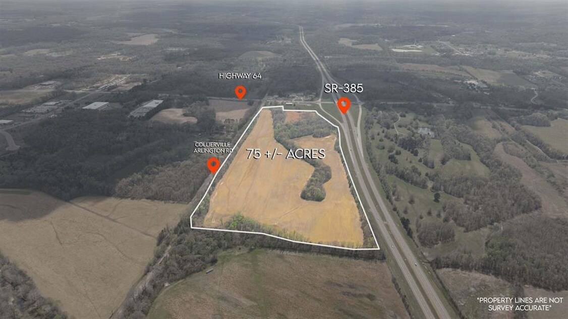 3131 US-64, Arlington, TN à vendre Photo principale– Image 1 sur 6