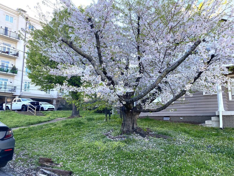 113 30th Ave N, Nashville, TN à vendre - Photo de l’immeuble – Image 3 sur 24