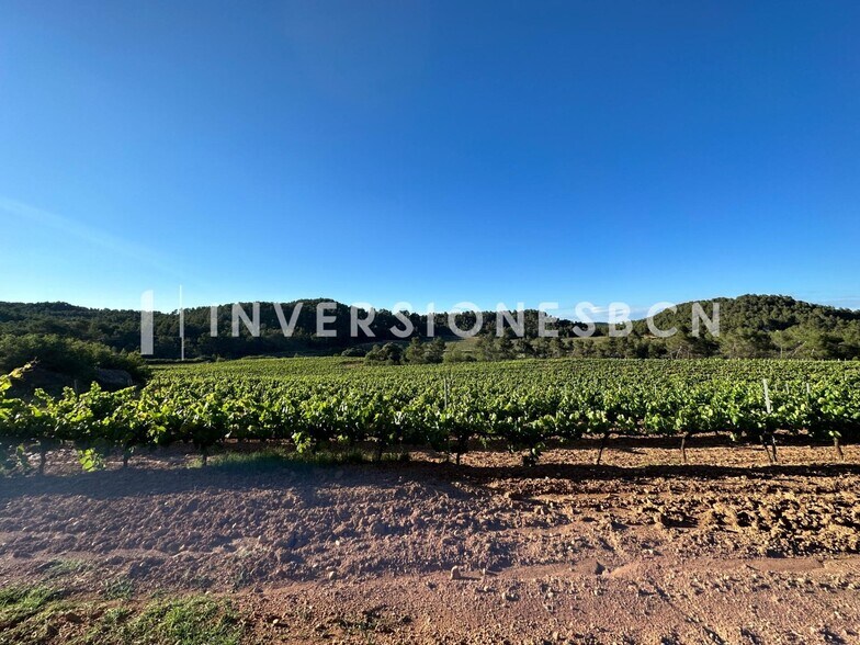 Terrain dans Vimbodí i Poblet, Tarragona à vendre - Autre – Image 2 sur 8