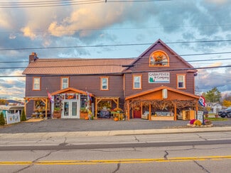 Plus de détails pour 233 Park St, Tupper Lake, NY - Local commercial à vendre