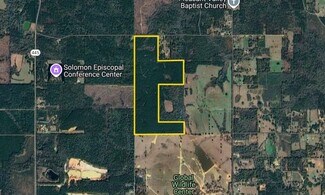 Plus de détails pour 0 Oceola rd, Uneedus, LA - Terrain à vendre