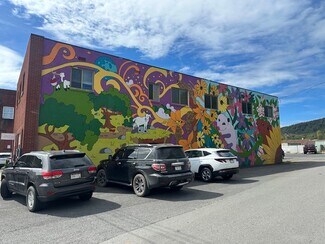 Plus de détails pour 402 Church St, Summersville, WV - Local commercial à vendre