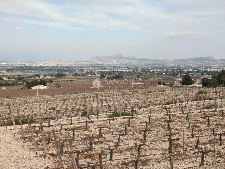 Terrain dans Aspe, Alicante à vendre - Photo principale – Image 3 sur 20