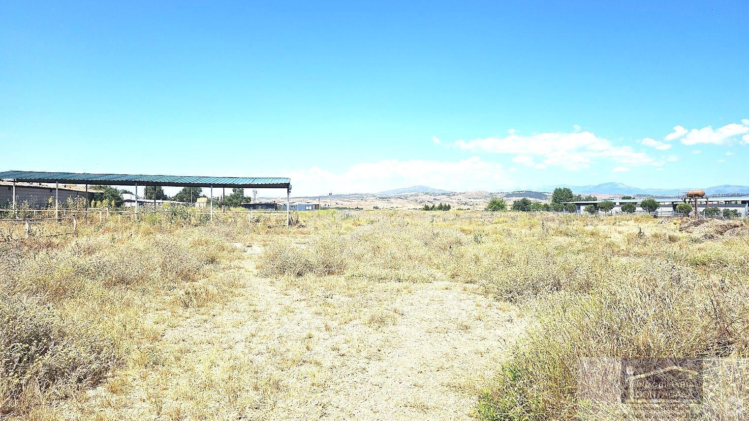 Terrain dans Talamanca de Jarama, Madrid à vendre Photo principale– Image 1 sur 11