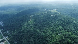 Plus de détails pour 8972 River Rd, Wellsburg, WV - Terrain à vendre