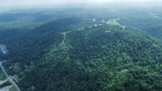 Plus de détails pour 8972 River Rd, Wellsburg, WV - Terrain à vendre