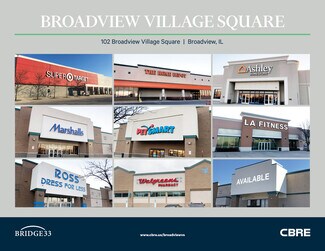 Plus de détails pour 300-700 Broadview Village Sq, Broadview, IL - Local commercial à louer