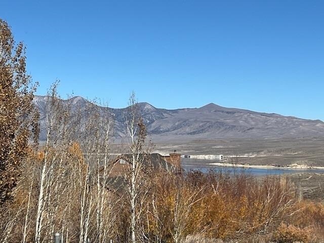Crowley Lake Dr, Mammoth Lakes, CA à vendre - Photo de l’immeuble – Image 2 sur 4