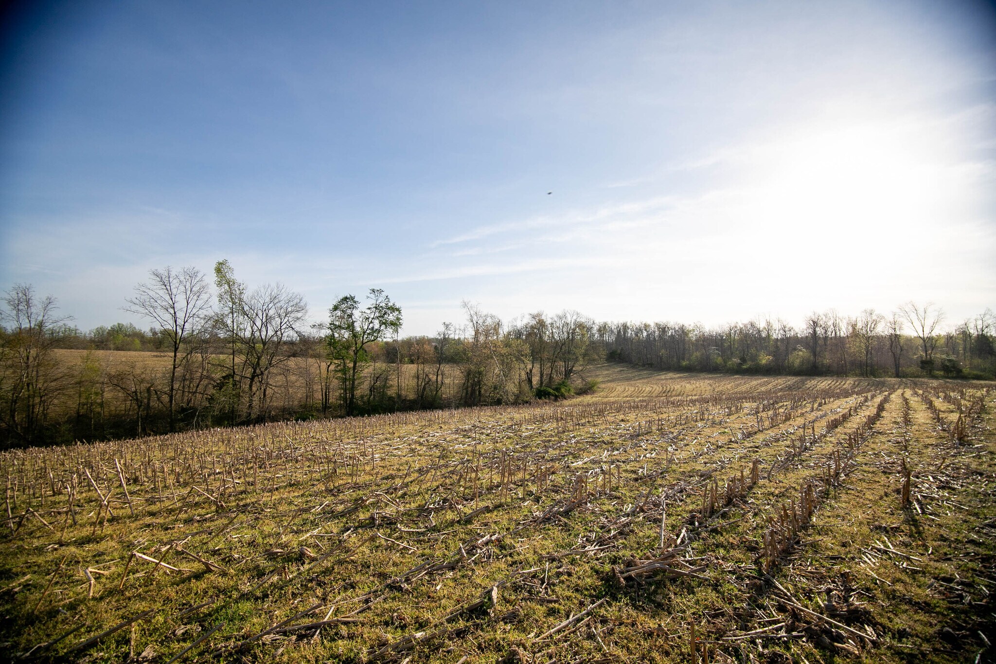2175 Dobbins Pike, Portland, TN à vendre Photo principale– Image 1 sur 15