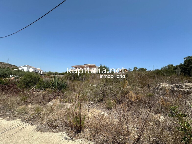 Terrain dans Alberic, Valencia à vendre - Photo principale – Image 1 sur 5