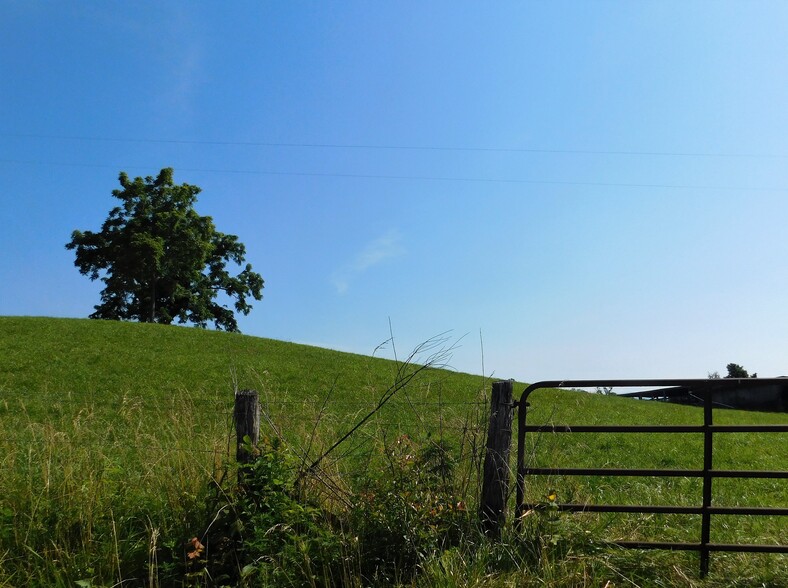 Chapman Rd, Lafollette, TN à vendre - Autre – Image 2 sur 8